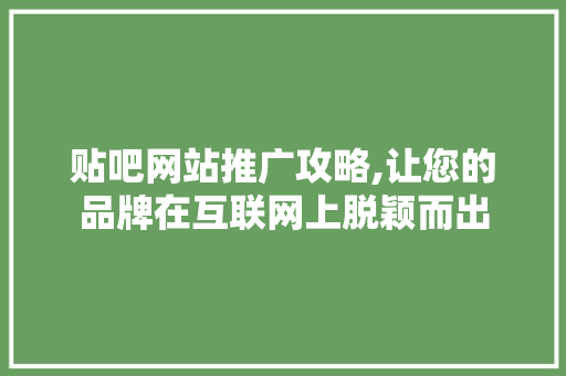 贴吧网站推广攻略,让您的品牌在互联网上脱颖而出