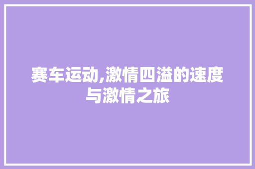 赛车运动,激情四溢的速度与激情之旅