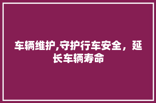 车辆维护,守护行车安全，延长车辆寿命