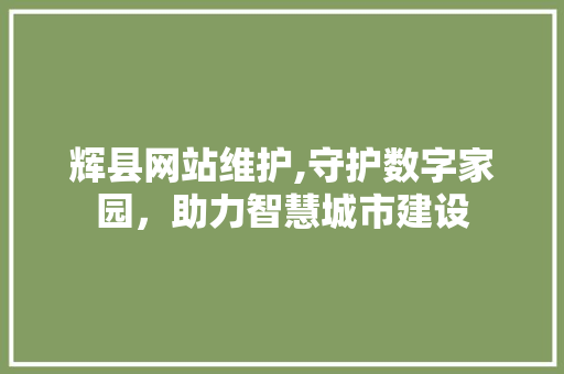 辉县网站维护,守护数字家园，助力智慧城市建设