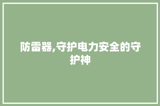 防雷器,守护电力安全的守护神