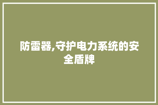 防雷器,守护电力系统的安全盾牌