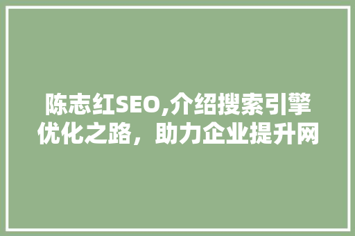 陈志红SEO,介绍搜索引擎优化之路，助力企业提升网络竞争力