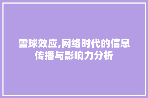 雪球效应,网络时代的信息传播与影响力分析