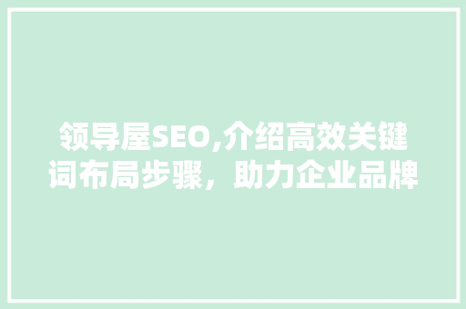 领导屋SEO,介绍高效关键词布局步骤，助力企业品牌腾飞