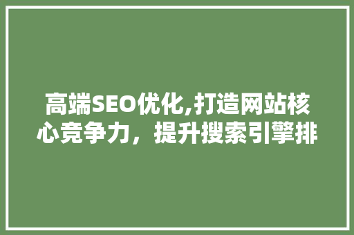 高端SEO优化,打造网站核心竞争力，提升搜索引擎排名