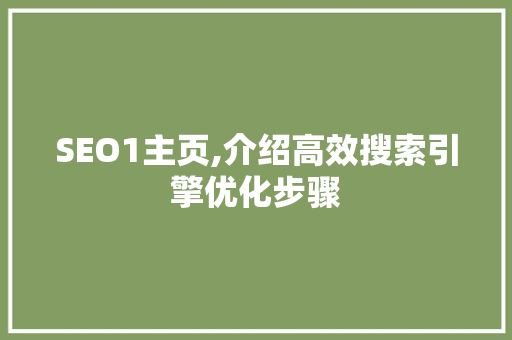 SEO1主页,介绍高效搜索引擎优化步骤
