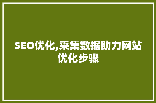 SEO优化,采集数据助力网站优化步骤