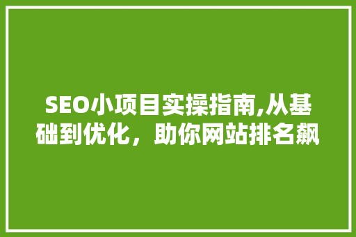 SEO小项目实操指南,从基础到优化，助你网站排名飙升！