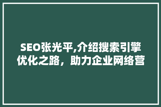 SEO张光平,介绍搜索引擎优化之路，助力企业网络营销腾飞