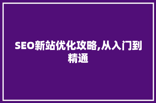SEO新站优化攻略,从入门到精通