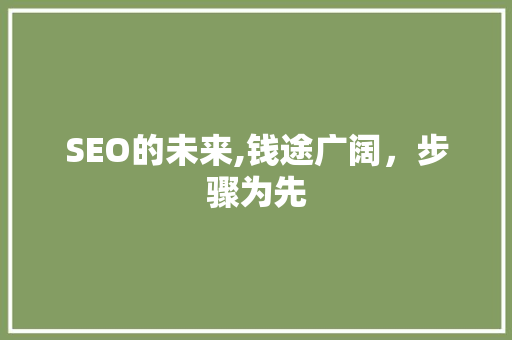 SEO的未来,钱途广阔，步骤为先