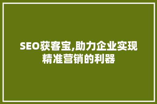 SEO获客宝,助力企业实现精准营销的利器