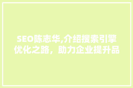SEO陈志华,介绍搜索引擎优化之路，助力企业提升品牌影响力