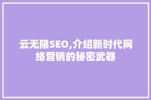 云无限SEO,介绍新时代网络营销的秘密武器