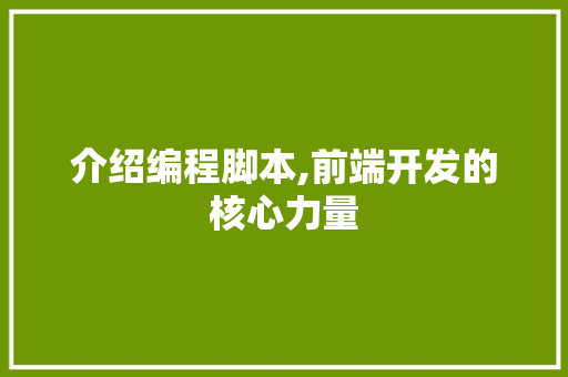 介绍编程脚本,前端开发的核心力量
