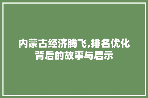 内蒙古经济腾飞,排名优化背后的故事与启示