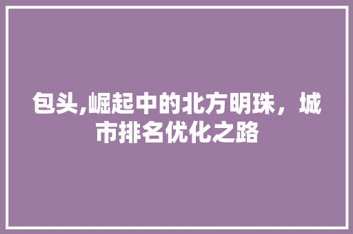 包头,崛起中的北方明珠，城市排名优化之路