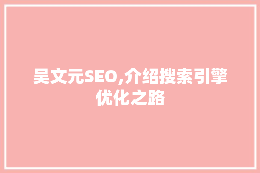 吴文元SEO,介绍搜索引擎优化之路