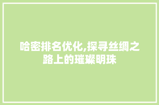 哈密排名优化,探寻丝绸之路上的璀璨明珠
