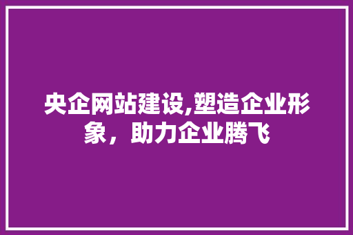 央企网站建设,塑造企业形象，助力企业腾飞