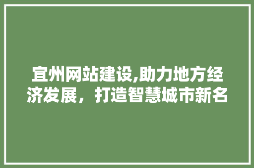宜州网站建设,助力地方经济发展，打造智慧城市新名片