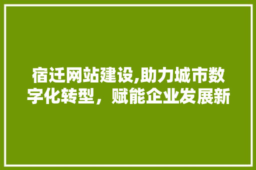 宿迁网站建设,助力城市数字化转型，赋能企业发展新引擎