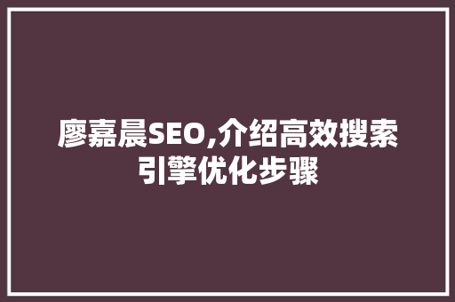 廖嘉晨SEO,介绍高效搜索引擎优化步骤