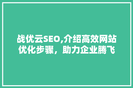 战优云SEO,介绍高效网站优化步骤，助力企业腾飞