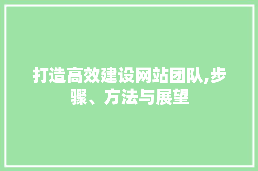 打造高效建设网站团队,步骤、方法与展望