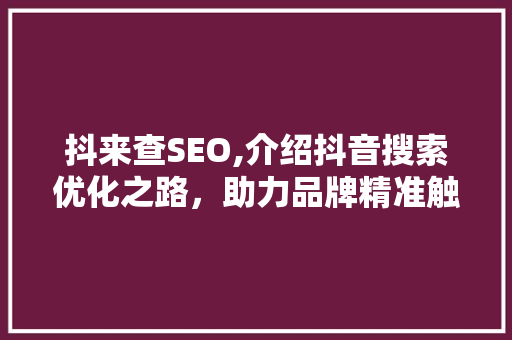 抖来查SEO,介绍抖音搜索优化之路，助力品牌精准触达用户