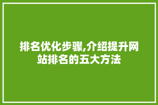 排名优化步骤,介绍提升网站排名的五大方法