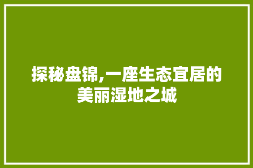 探秘盘锦,一座生态宜居的美丽湿地之城