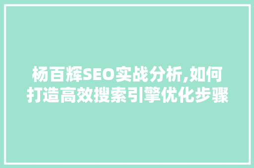 杨百辉SEO实战分析,如何打造高效搜索引擎优化步骤