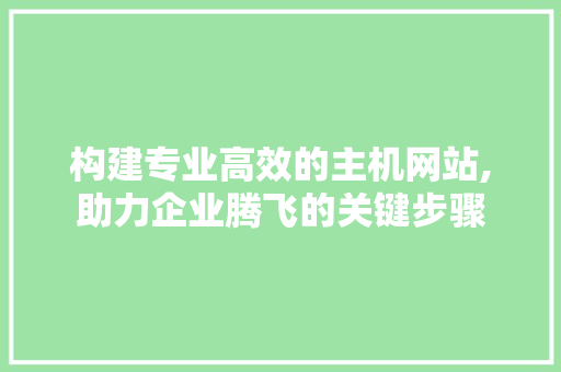 构建专业高效的主机网站,助力企业腾飞的关键步骤