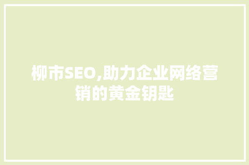 柳市SEO,助力企业网络营销的黄金钥匙