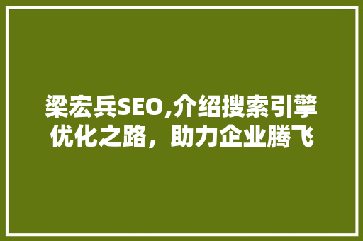 梁宏兵SEO,介绍搜索引擎优化之路，助力企业腾飞