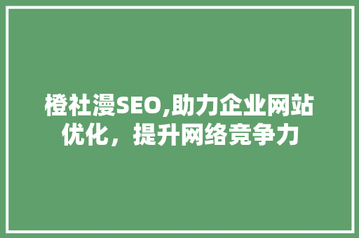 橙社漫SEO,助力企业网站优化，提升网络竞争力