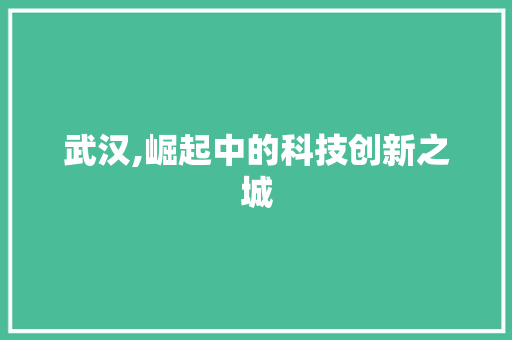 武汉,崛起中的科技创新之城
