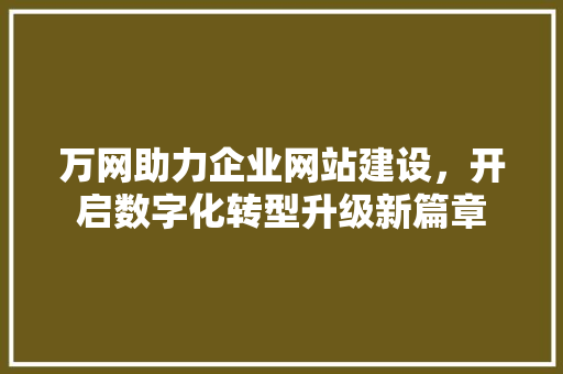 万网助力企业网站建设，开启数字化转型升级新篇章