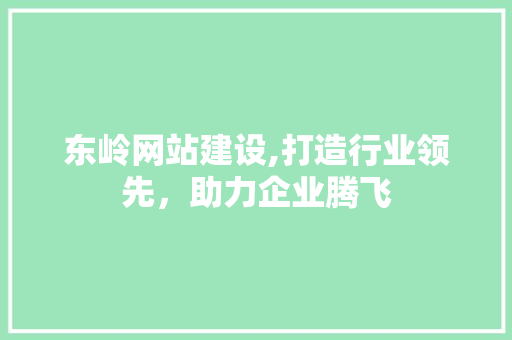 东岭网站建设,打造行业领先，助力企业腾飞