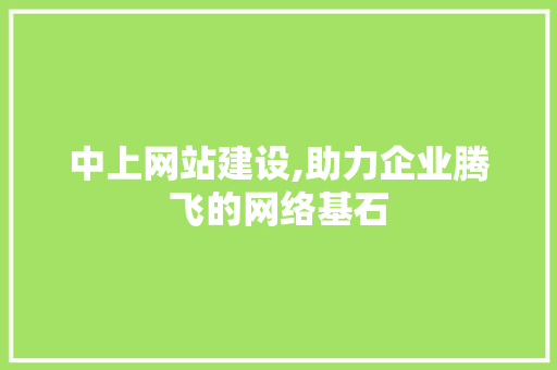 中上网站建设,助力企业腾飞的网络基石