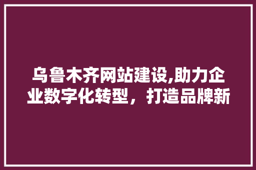 乌鲁木齐网站建设,助力企业数字化转型，打造品牌新格局