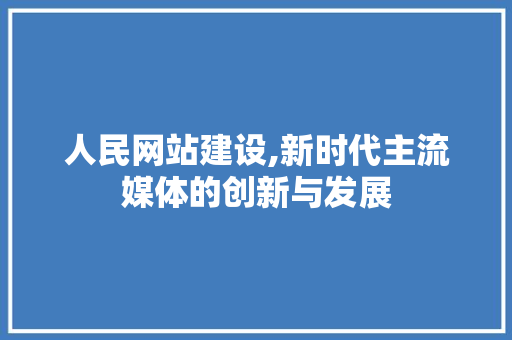 人民网站建设,新时代主流媒体的创新与发展