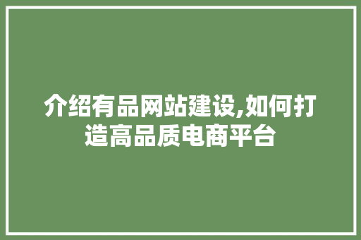 介绍有品网站建设,如何打造高品质电商平台