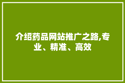 介绍药品网站推广之路,专业、精准、高效