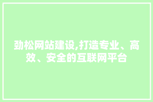 劲松网站建设,打造专业、高效、安全的互联网平台
