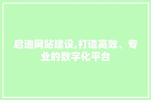启迪网站建设,打造高效、专业的数字化平台