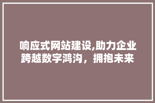 响应式网站建设,助力企业跨越数字鸿沟，拥抱未来