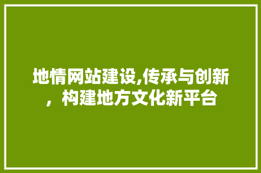地情网站建设,传承与创新，构建地方文化新平台